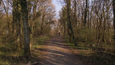 Slow-Tracking-Shot-Of-A-Young-Man-Walking-A-Scenic-Route