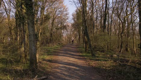 tiro de seguimiento lento de un joven caminando por una ruta escénica