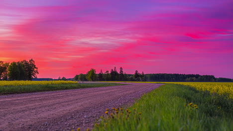 Schmutzige-Straße-Auf-Dem-Land,-Die-Ein-Blumiges-Frühlingsfeld-überquert