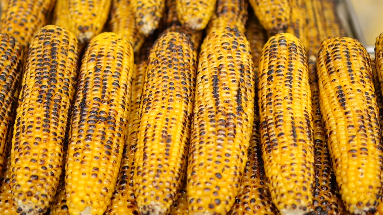 Rows of Golden Grilled Corn Cobs Ready to Eat