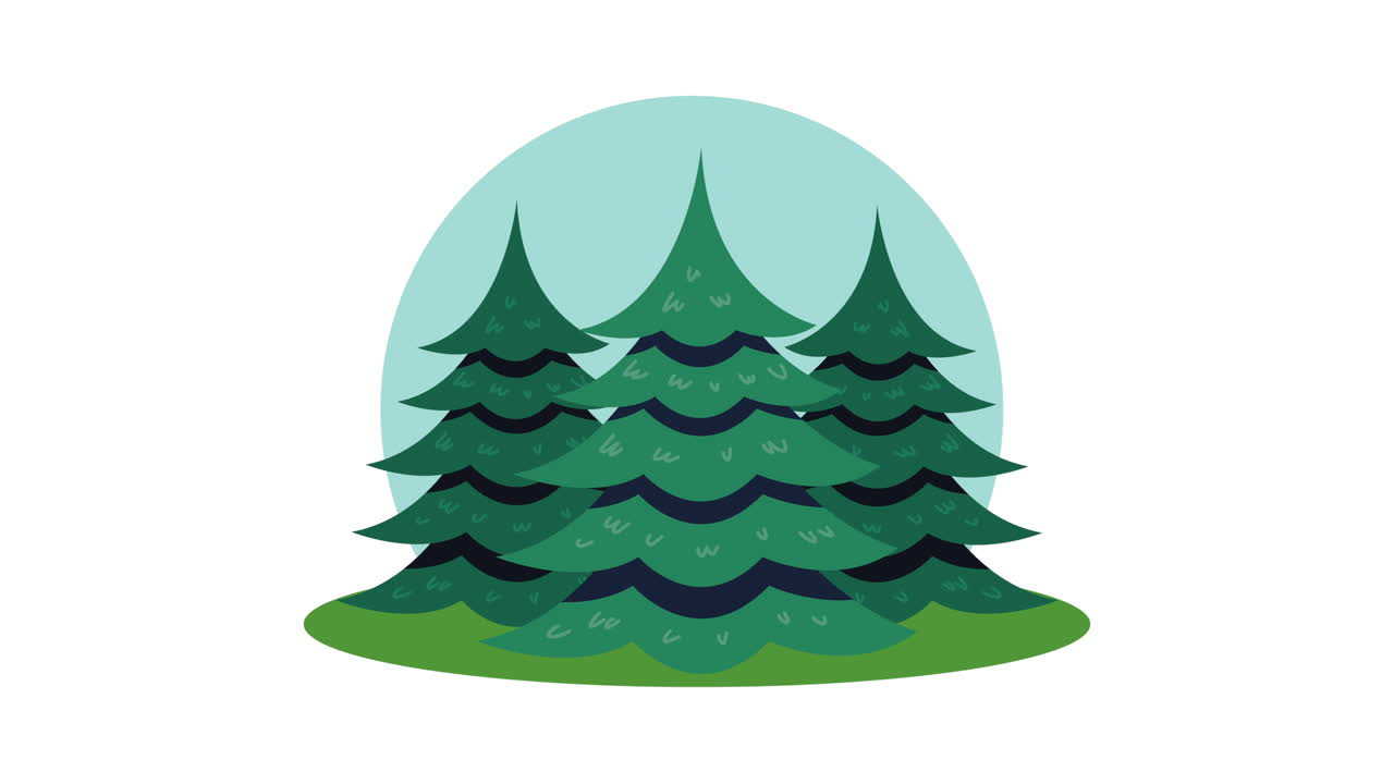 소나무 나무 식물 숲 장면