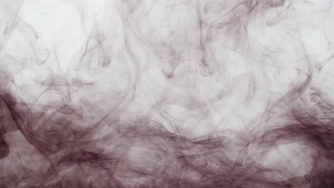 black ink drop into water on a white background