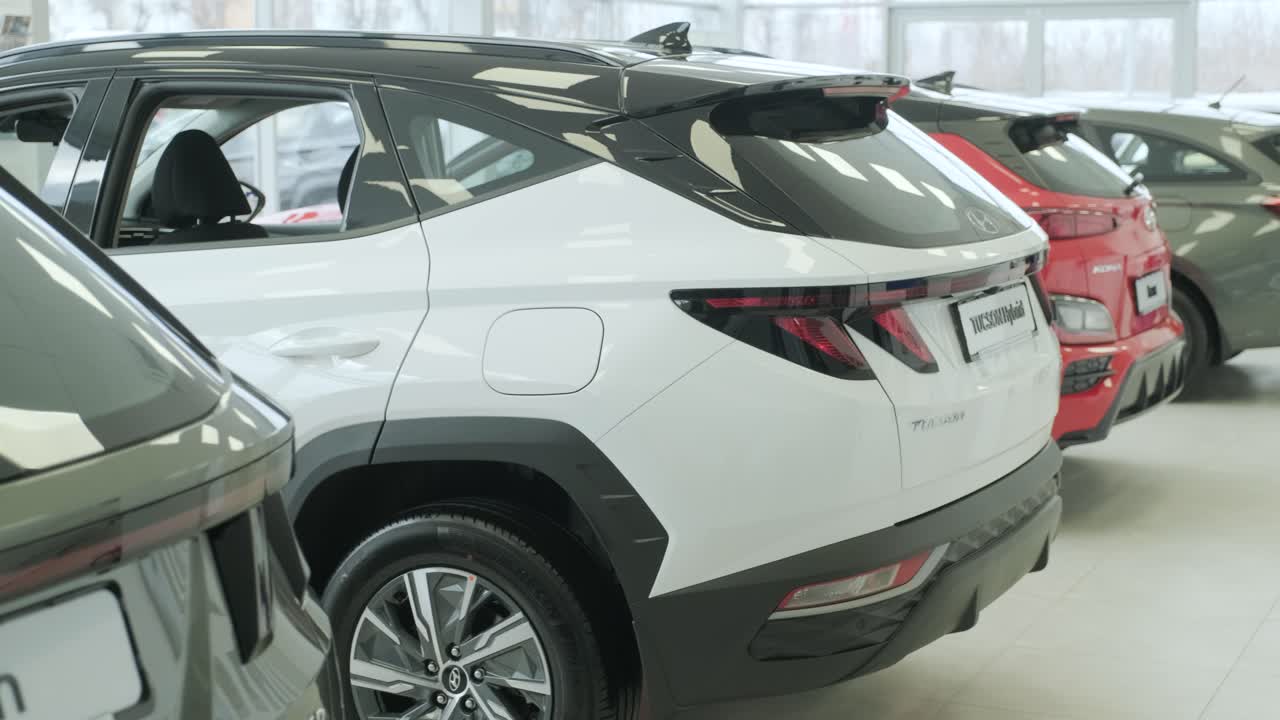 다이 자동차 대리점: 쇼에 있는 새로운 명품 자동차의 개요