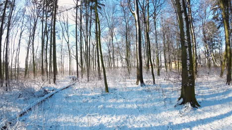 FPV-Drohne-Fliegt-Nach-Einem-Schneesturm-An-Einem-Sonnigen-Tag-In-Polen-Langsam-Vorwärts-Durch-Baumstämme-Des-Winterwaldes-Unter-Schnee