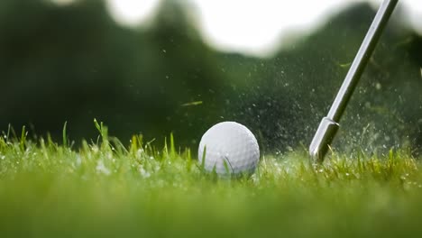 golf club on wet grass with water droplets