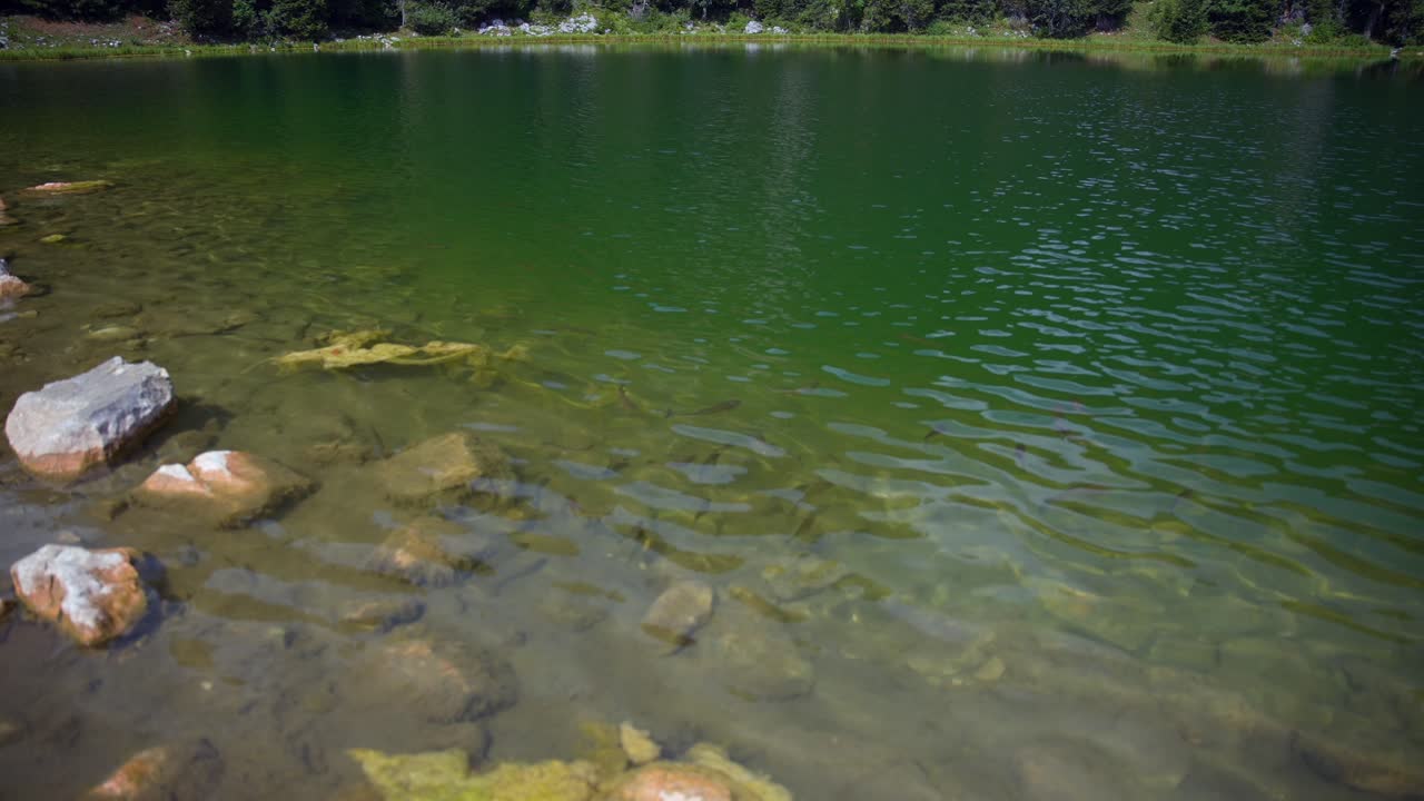 movimiento de avance lento filmado en un cardán frente a un lago con peces, en las montañas de eslovenia en los alpes