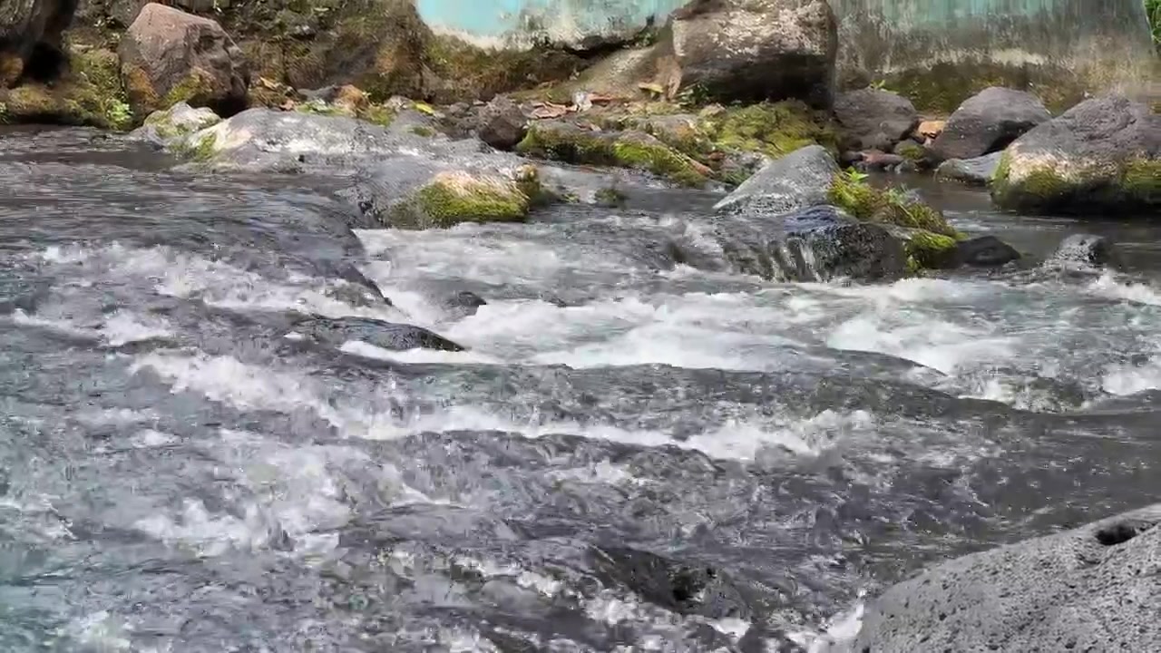 Acqua limpida che scorre sulle rocce in un ruscello di montagna