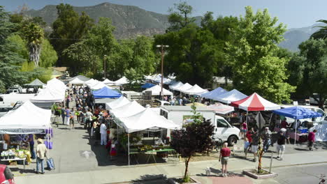 wide angle time lapse of people from above the ojai farmers market in ojai california