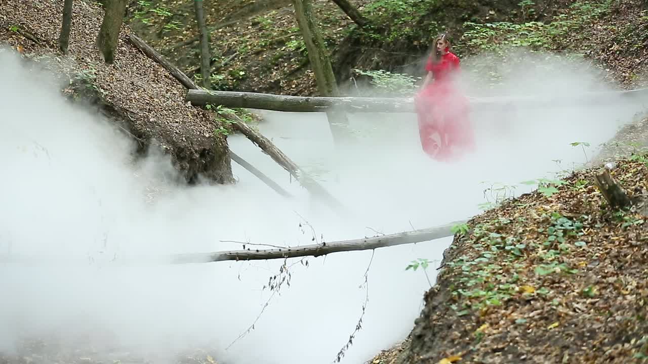 Woman In Forest In Cloud Of Smoke. Woman long red dress in forest in cloud of smoke