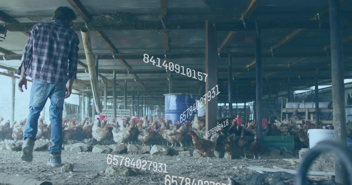 Landwirt geht durch Hühnerstall mit digitaler Datenüberlagerung