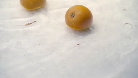 slomo of oranges falling into water on white backdrop