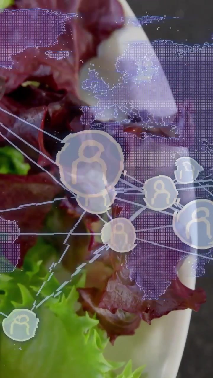 Video vertical: Superposición de red animándose sobre una ensalada en un plato con utensilios, con nodos pulsando para mostrar enlaces.