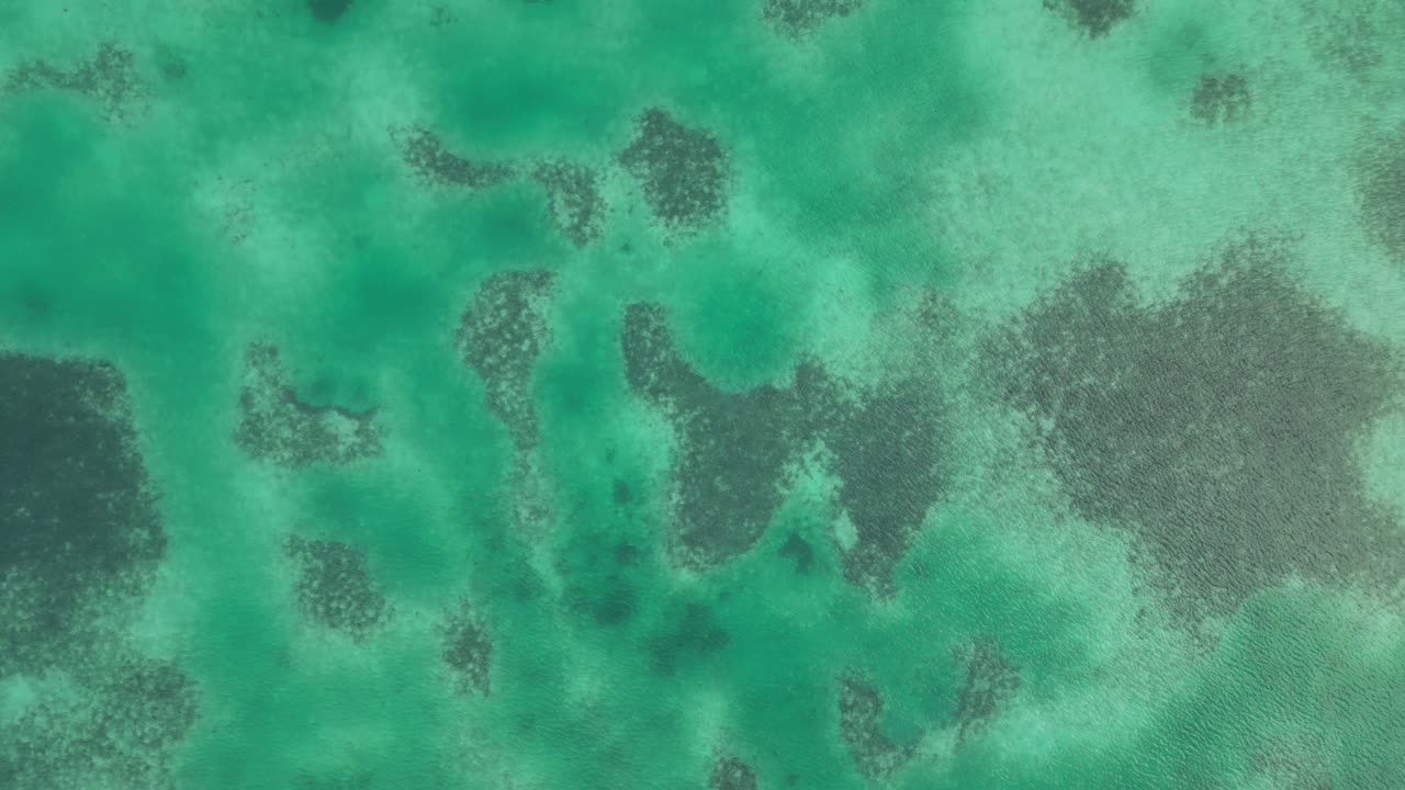vista de avión no tripulado en belice volando sobre el mar azul oscuro y claro del caribe vista superior del arrecife de coral de aguas poco profundas