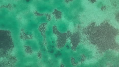 Vista-De-Drones-En-Belice-Volando-Sobre-El-Caribe-Vista-Superior-Del-Mar-Azul-Oscuro-Y-Claro-Arrecife-De-Coral-De-Aguas-Poco-Profundas