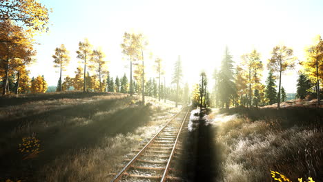 a scenic view of railroad tracks leading through a golden forest.