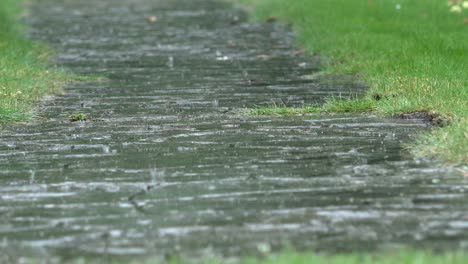 heavy rain water drops falling on garden stone path and splashing in rainy day. 4k