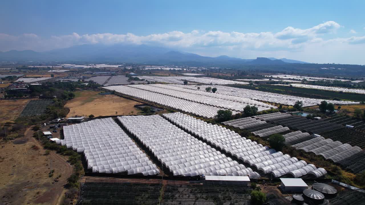 Aerial of blueberry farm in remote land in Michoac&aacute;n Mexico