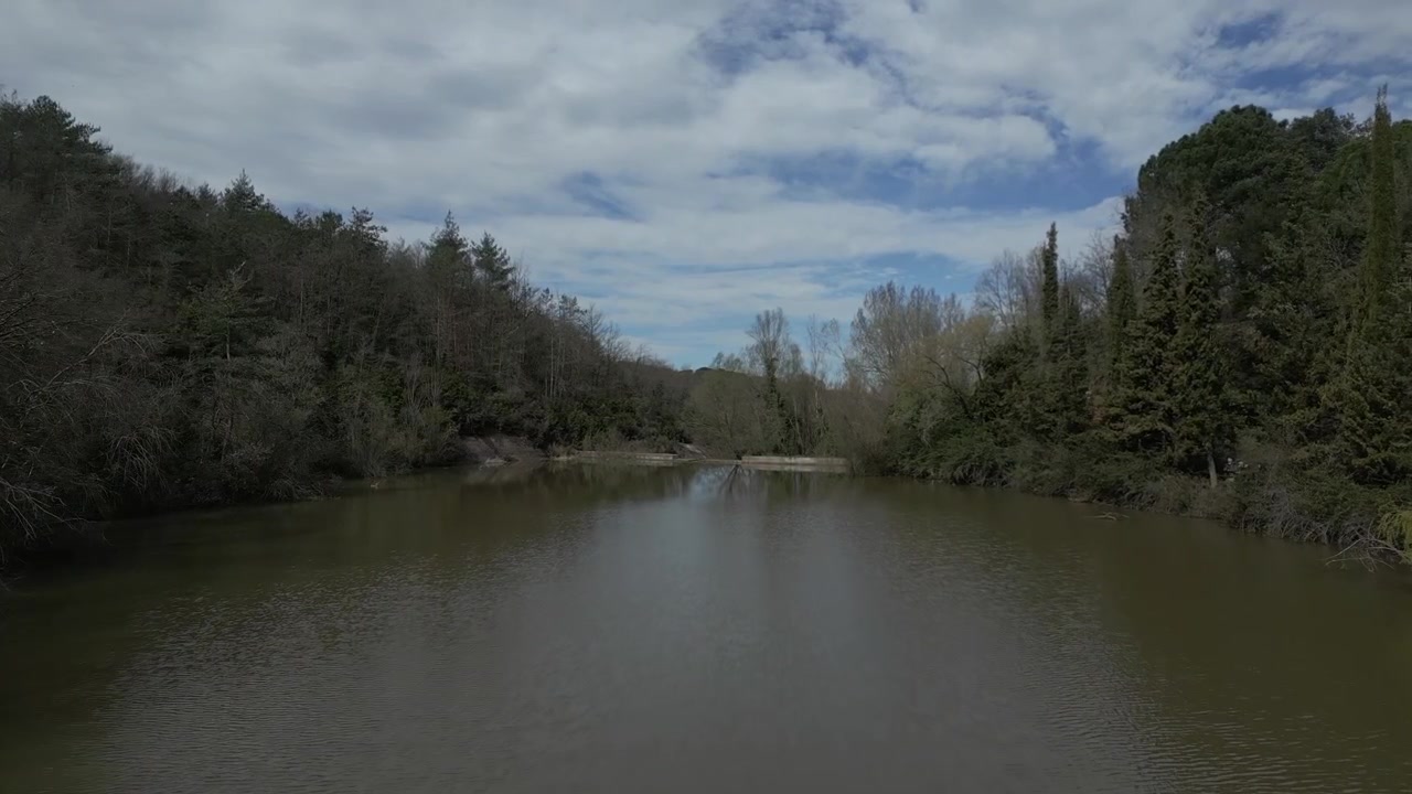 Aerial footage capturing a serene flight over a tranquil swamp surrounded by lush forest in Taradell, revealing the beautiful natural scenery of Catalonia with a cloudy sky overhead