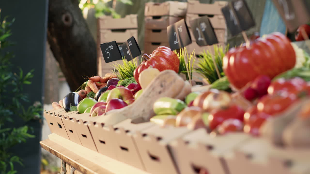 Fresh Vegetables and Fruits at the Market