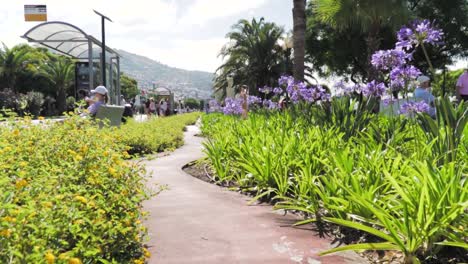 coastal city park with bus stop and people