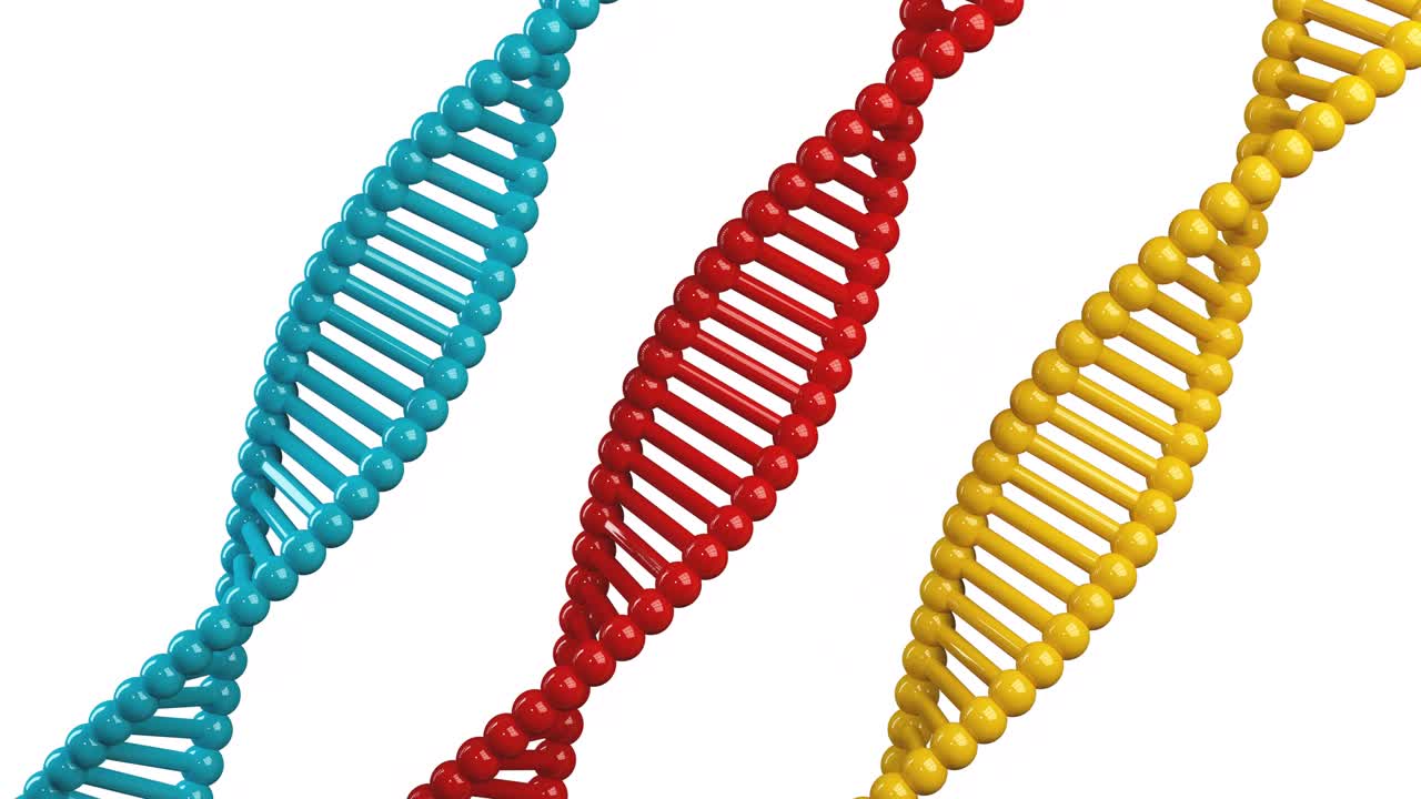 antecedentes científicos con concepto médico del espacio de copia