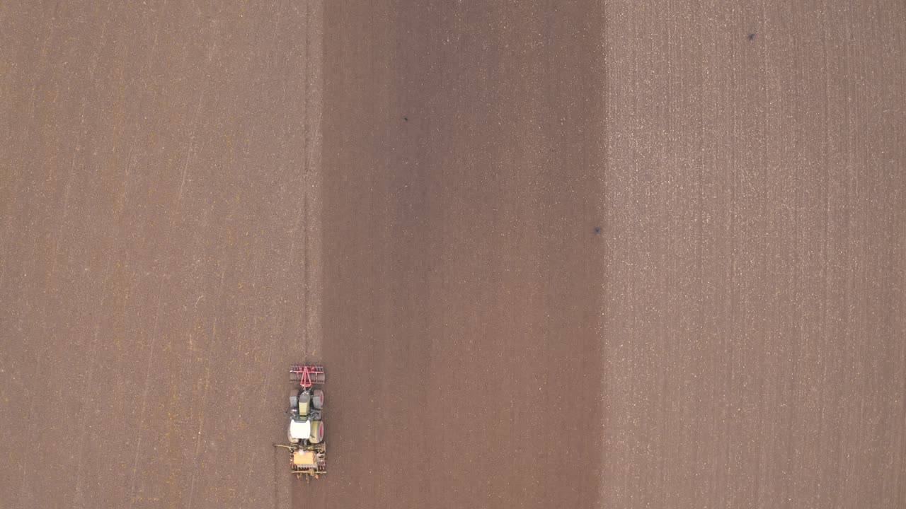 Flock of seagulls following a tractor on farmland