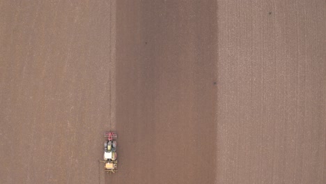 flock of seagulls following a tractor on farmland