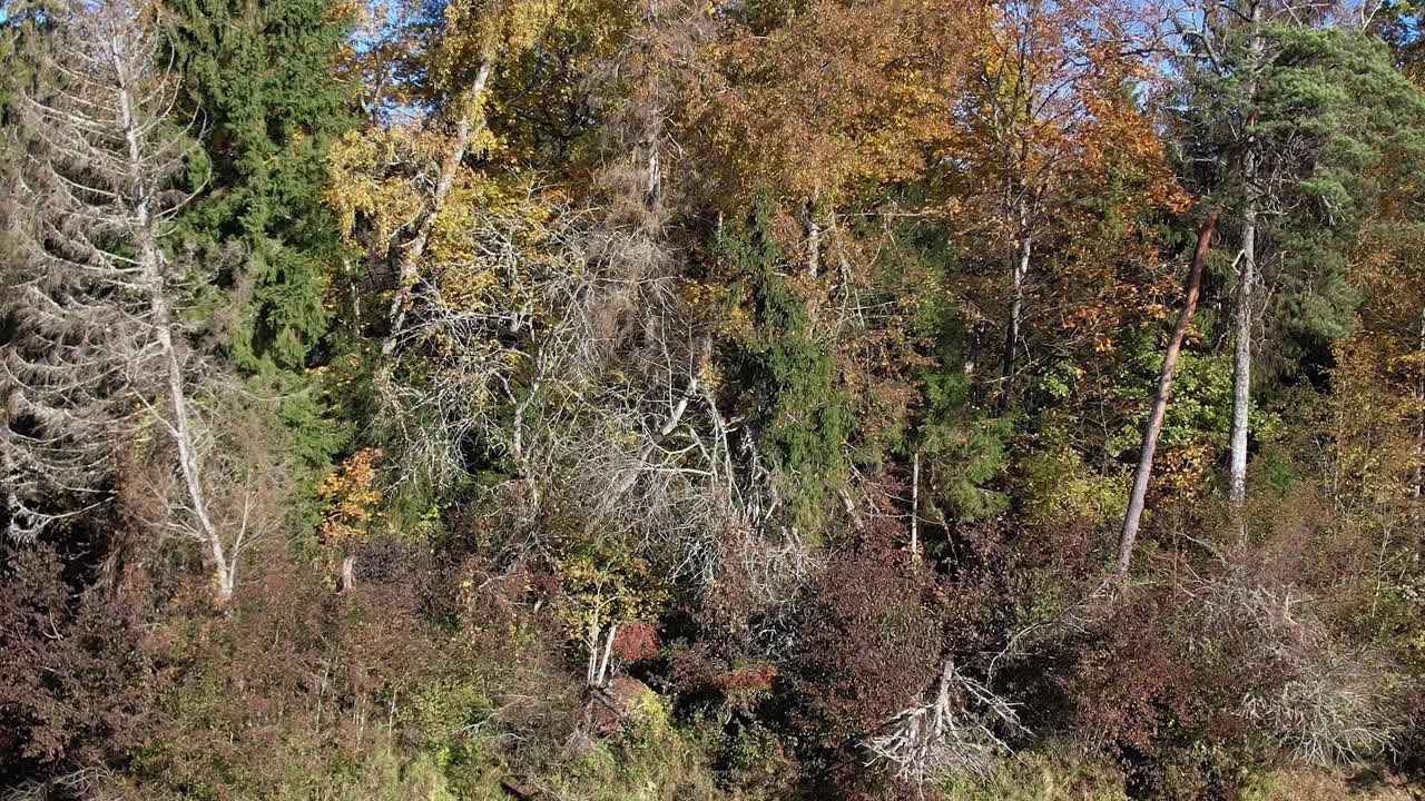 Scena autunnale a Sigulda, in Lettonia, con alberi e foglie colorate