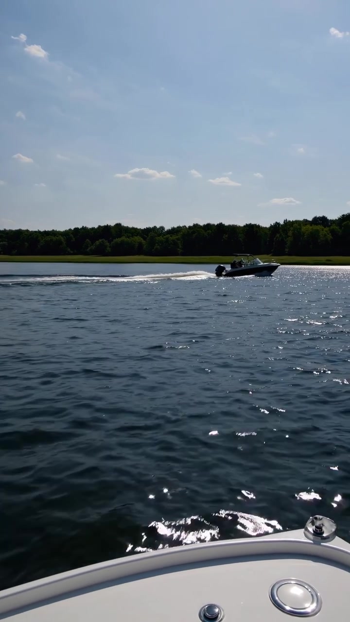 Motoscafo che naviga su un lago calmo in una giornata di sole