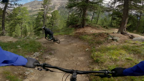 mountain biking adventure through the forest