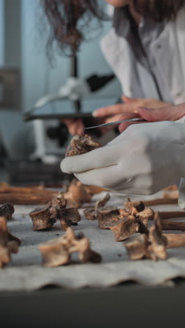 arqueólogo examinando huesos antiguos en un laboratorio