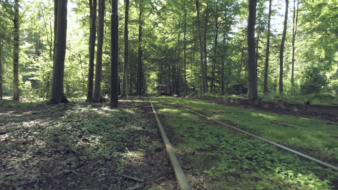 metro pasando por el bosque - tiro de seguimiento