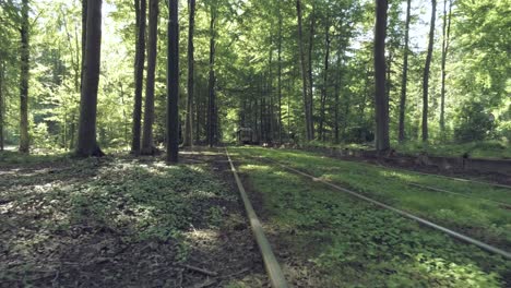 metro passing through the forest - tracking shot