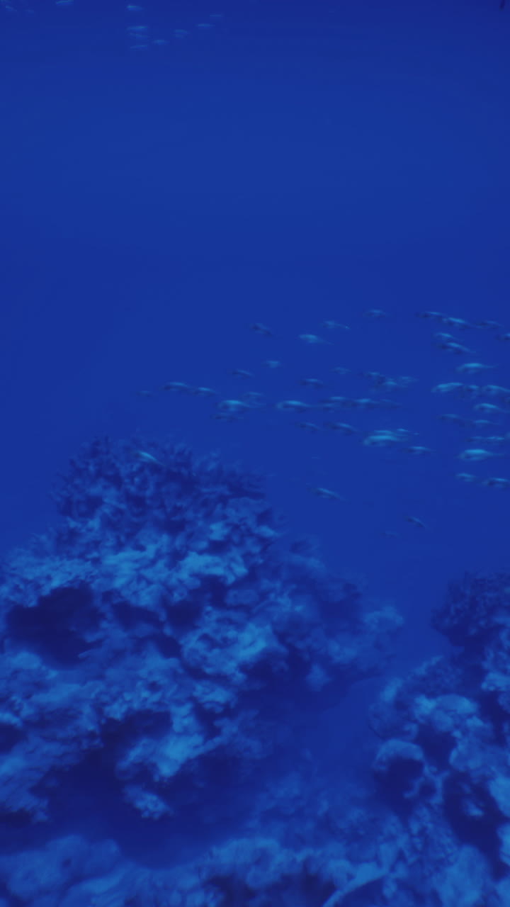 Exploring the deep blue sea beneath majestic underwater rock formations