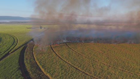 drone view shows controlled burn managing sugarcane farmlands in south africa