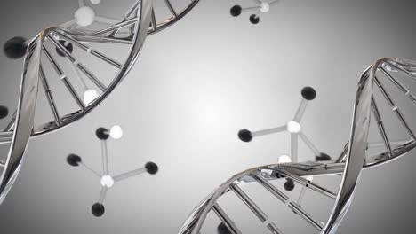 DNA-Doppelhelix--Und-Molekülmodelle
