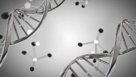 dna double helix and molecule models