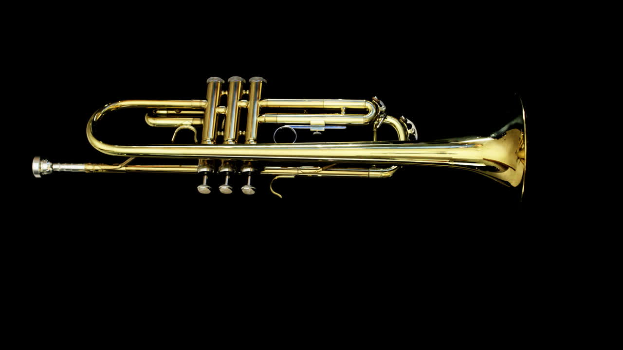 Trumpet 08