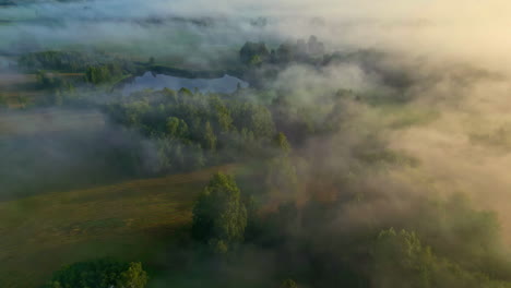 aerial drone shot of a misty forest with lakes and trees