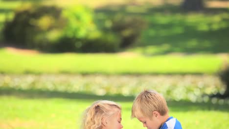 Young-boy-talking-with-his-sister-on-the-grass