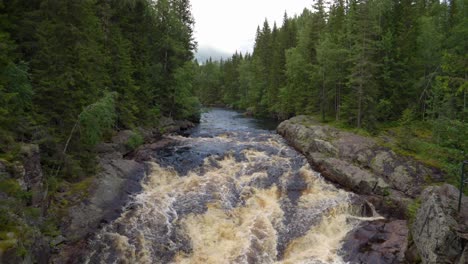 powerful flowing river at storstupet waterfalls in dalarna, sweden, medium, slow motion