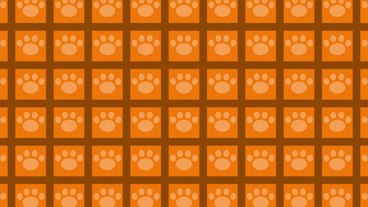 Orange and Black Paw Print Pattern