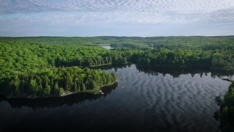 high angle view of forest and lake