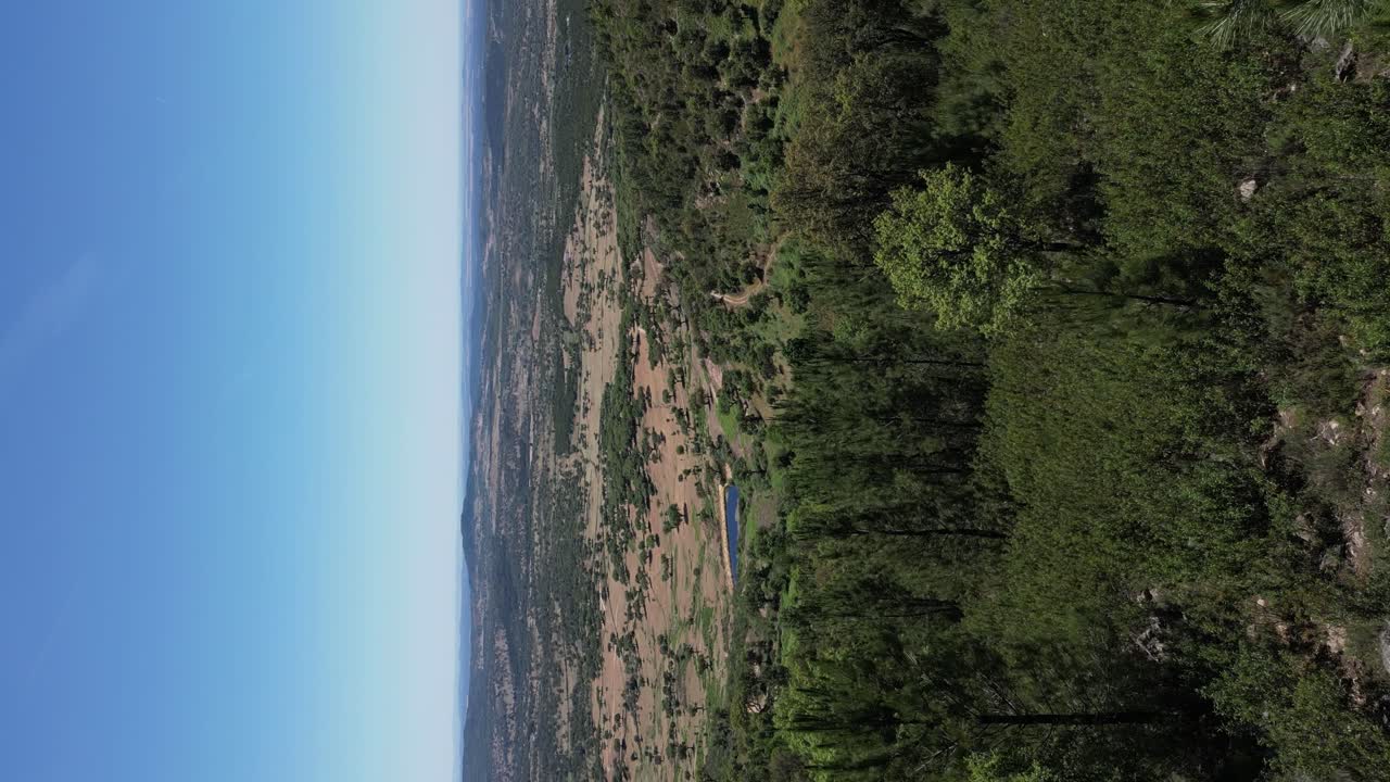 video vertical, sobrevuelo de drones a través de árboles que revelan el paisaje natural de castelo de vide, alentejo