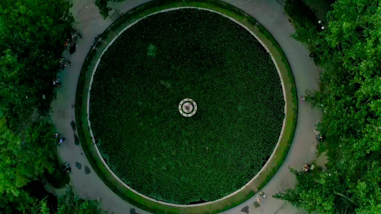 зеленое озеро в парке