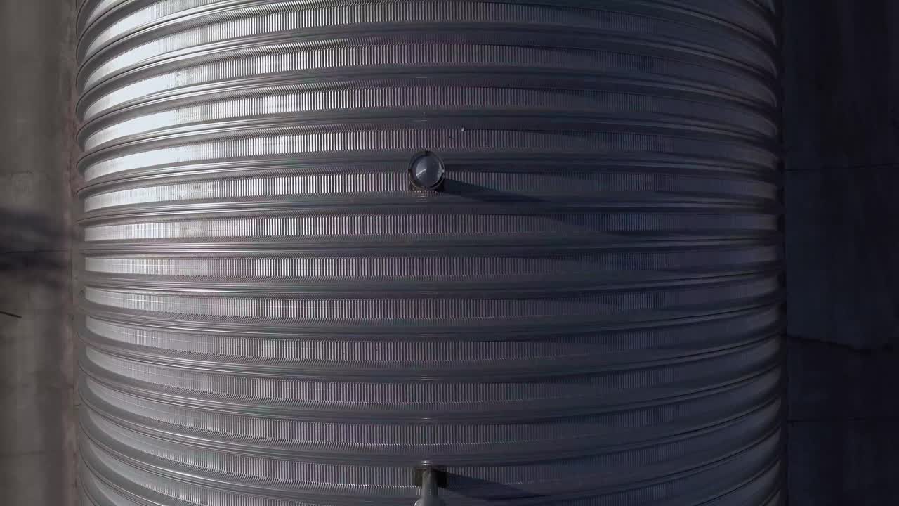 Interno di una fabbrica di lavorazione di semi di girasole con un caricatore che sposta i semi sotto un tetto metallico curvo. Ambiente industriale con luce naturale che illumina l'area di lavoro e le attrezzature.