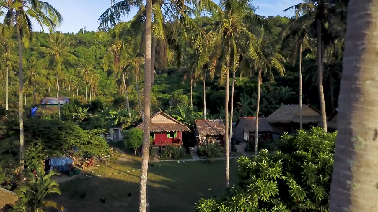Nhà gỗ kiểu бунгало nhiệt đới giữa những hàng cọ