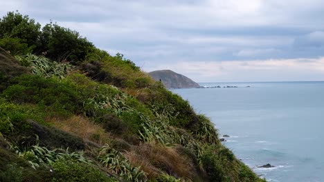 Vista-Panorámica-Del-Paisaje-Escarpado-Y-Rocoso-De-La-Costa-De-Wellington,-Nueva-Zelanda-Aotearoa-Con-Fauna-Y-Flora-Nativas-De-Nueva-Zelanda