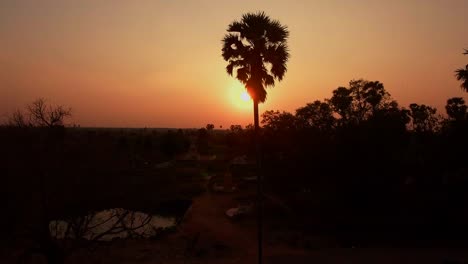 aerial:  flying up revealing silhouette of tropical palm trees at orange sunset