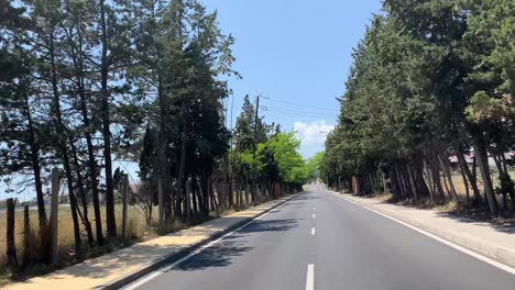 driving-down-road-with-bushes-trees